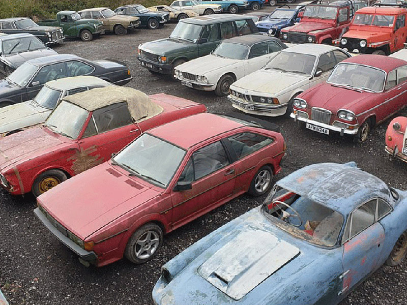 العثور على كنز من 135 سيارة كلاسيكية نادرة في أرض مهجورة